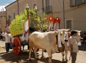 Larino la carrese molise 3